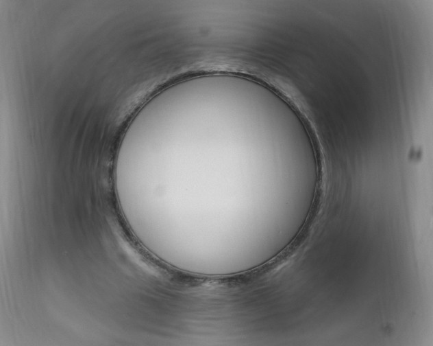 X0000111020441200906191235