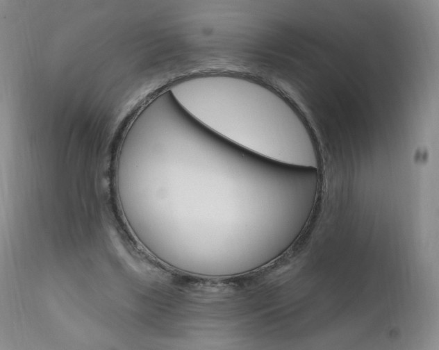 X0000111020443200906191235