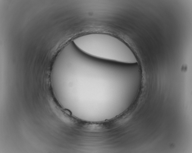 X0000111020449200906191235