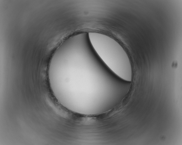 X0000111020451200906191235