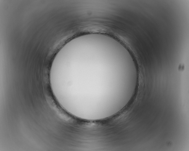 X0000111020453200906191235