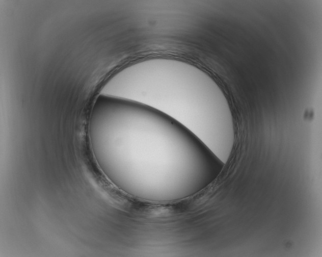 X0000111020456200906191235