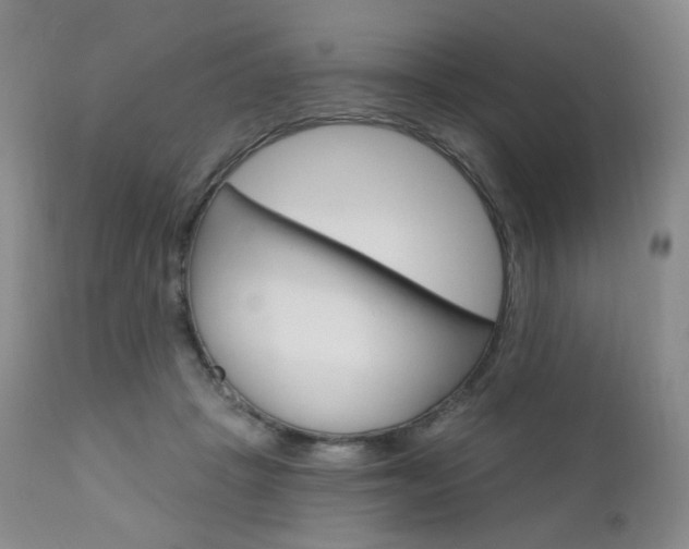 X0000111020457200906191235
