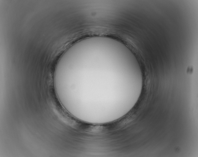 X0000111020459200906191235