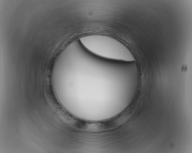 X0000111020461200906191235