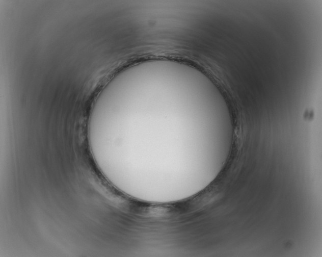 X0000111020462200906191235