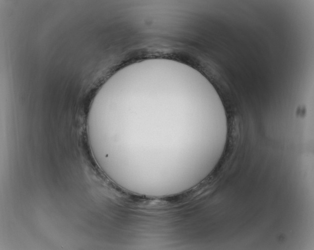 X0000111020463200906191235