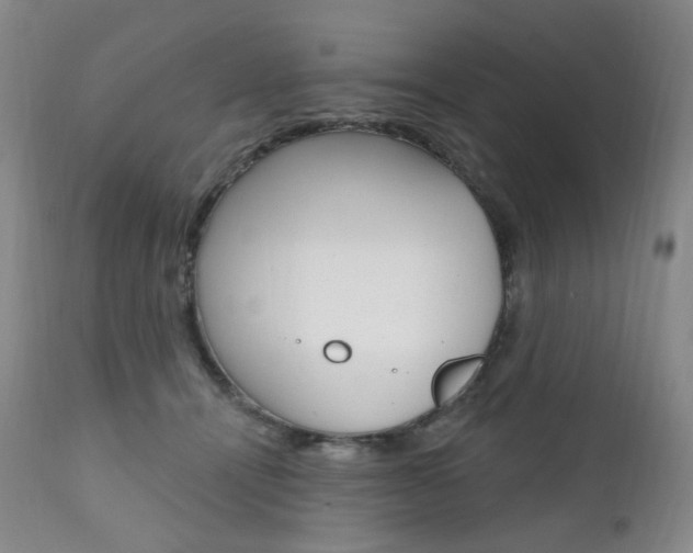 X0000111020464200906191235