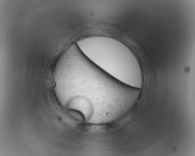 X0000111020465200906191235