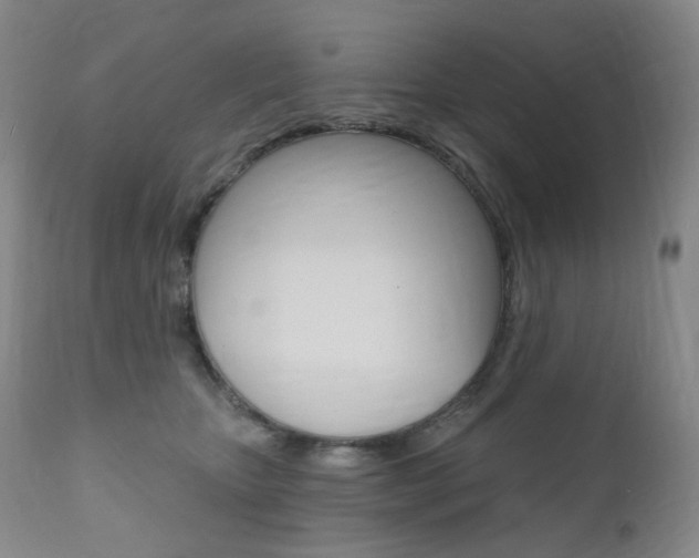 X0000111020467200906191235