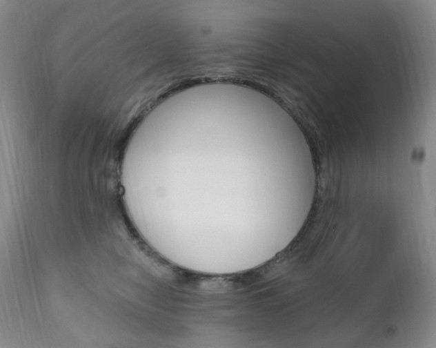 X0000111020470200906191235