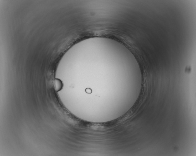 X0000111020471200906191235