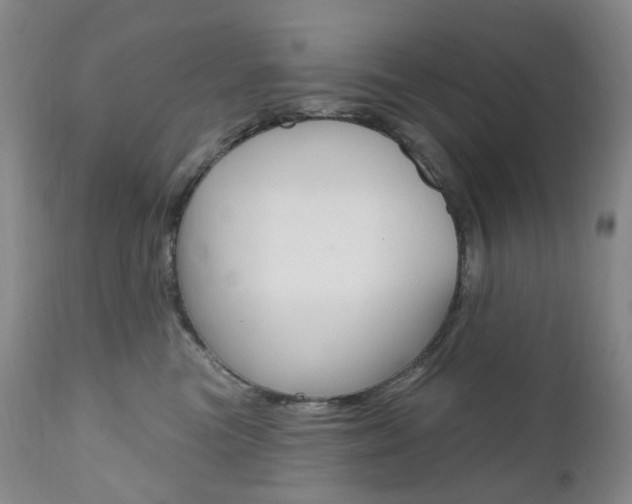 X0000111020473200906191235
