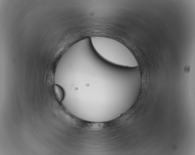 X0000111020474200906191235