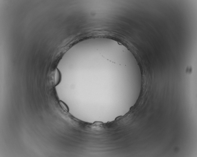X0000111020475200906191235