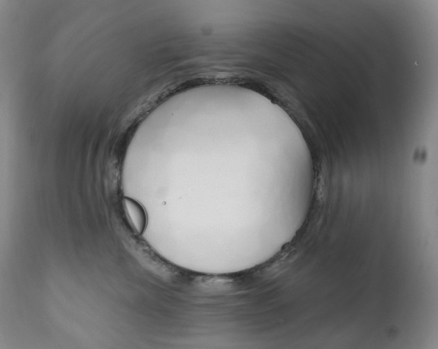 X0000111020476200906191235