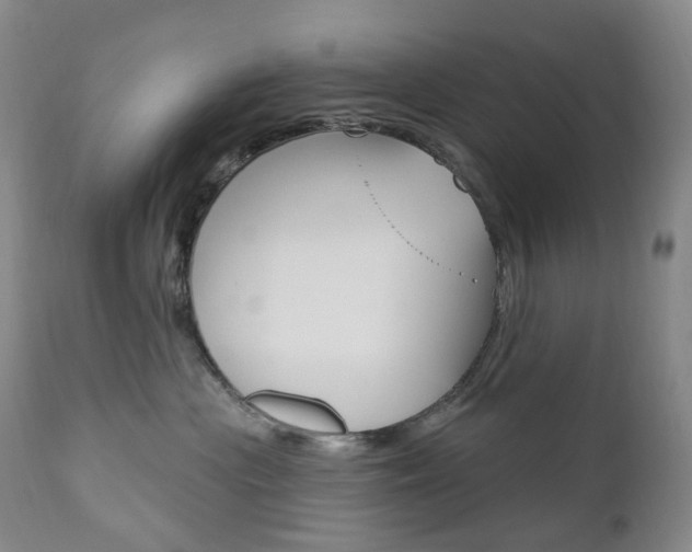 X0000111020477200906191235