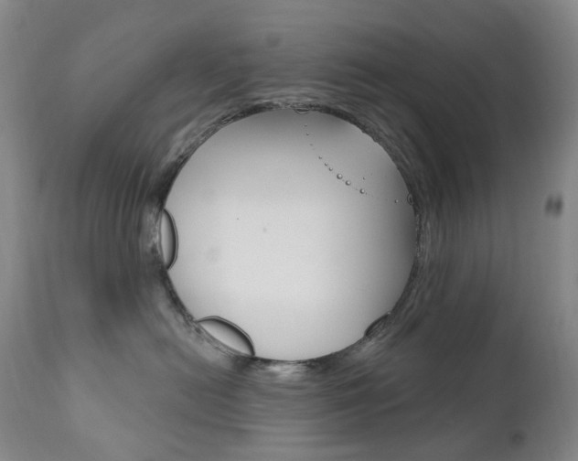 X0000111020478200906191235