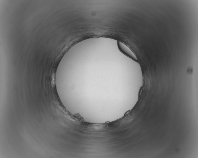 X0000111020479200906191235