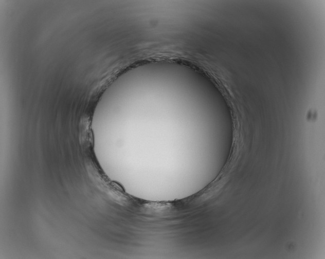 X0000111020480200906191235