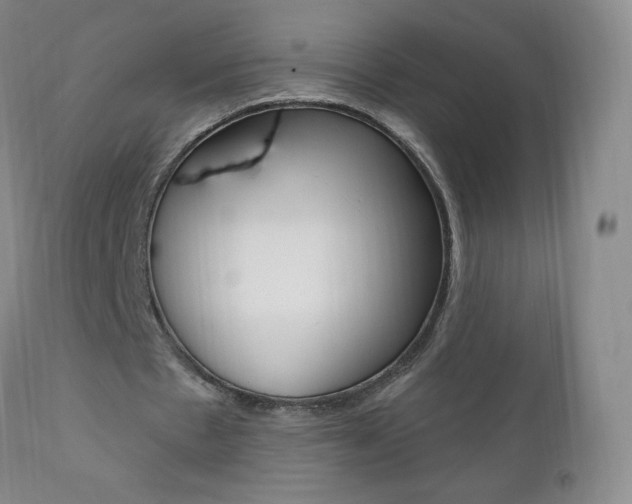 X0000111020481200906191234