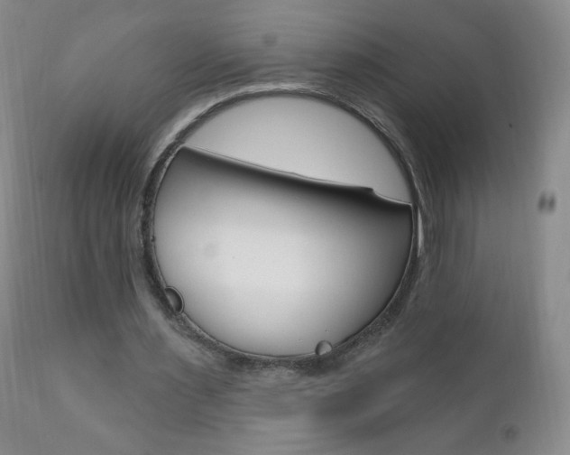 X0000111020483200906191234