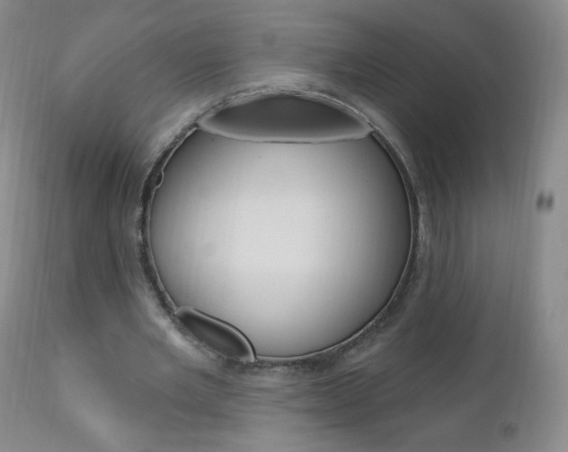 X0000111020485200906191234