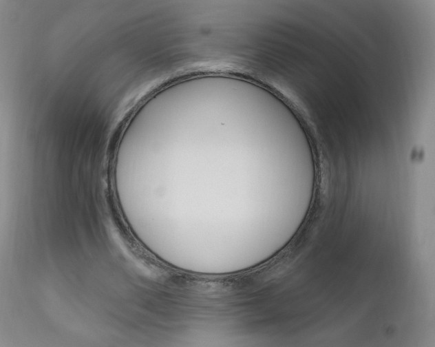 X0000111020486200906191234