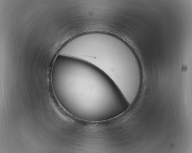 X0000111020489200906191234
