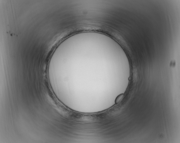 X0000111020490200906191234