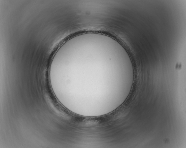 X0000111020491200906191234