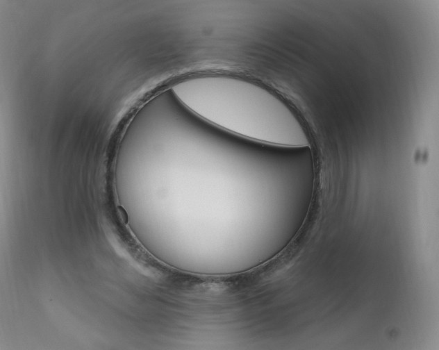 X0000111020492200906191234