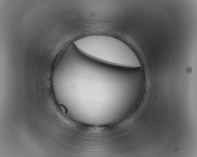 X0000111020497200906191234