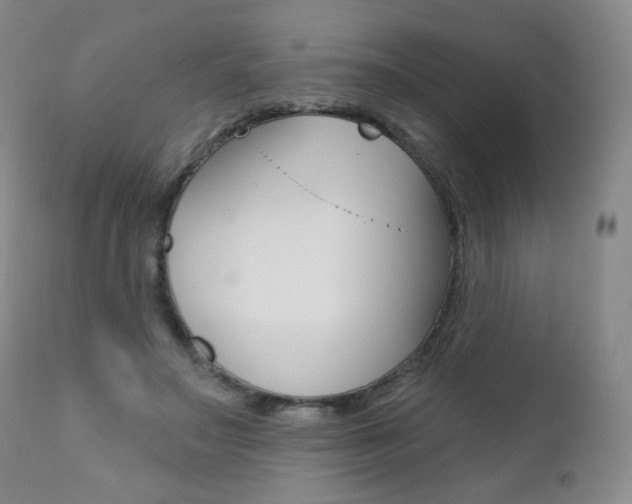 X0000111020499200906191234