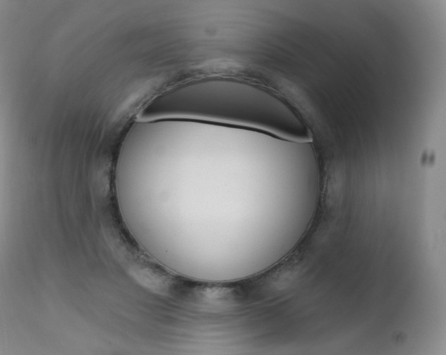 X0000111020501200906191234