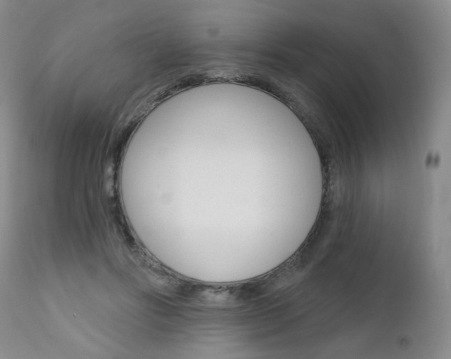 X0000111020502200906191234