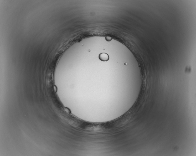 X0000111020503200906191234