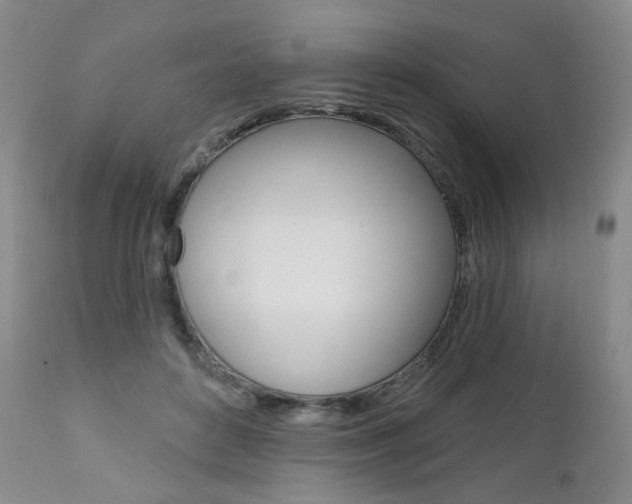 X0000111020504200906191234