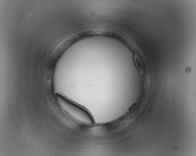 X0000111020505200906191234