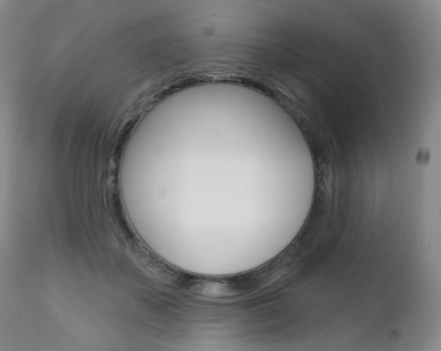 X0000111020507200906191234