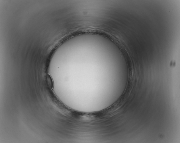 X0000111020508200906191234