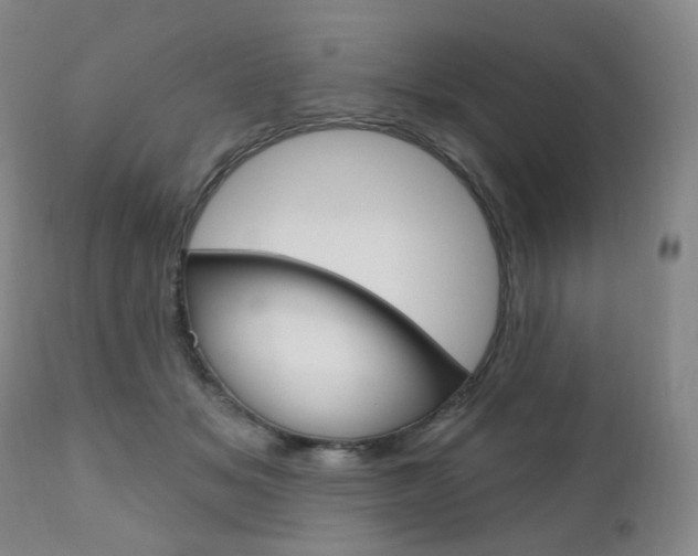 X0000111020509200906191234