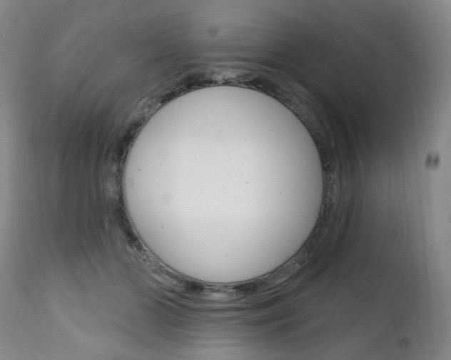 X0000111020510200906191234