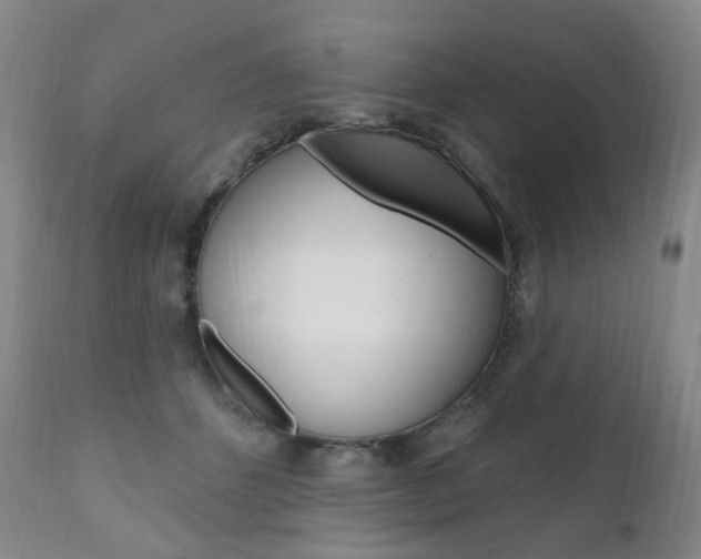 X0000111020512200906191234