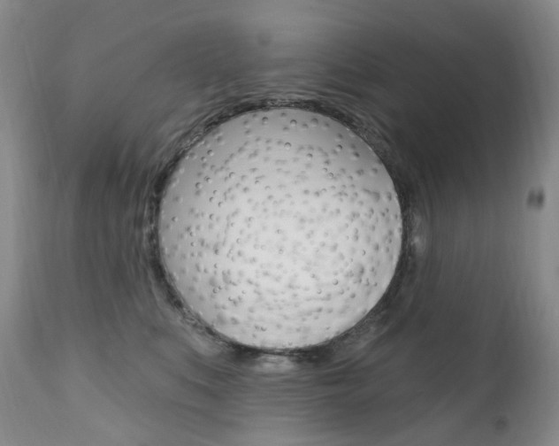 X0000111020519200906191234