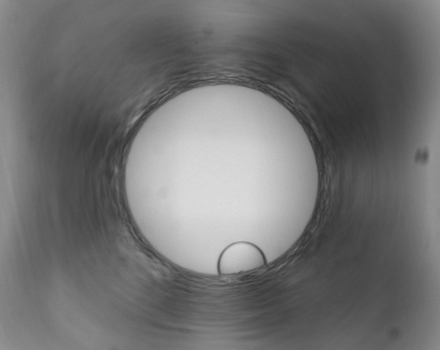 X0000111020520200906191234