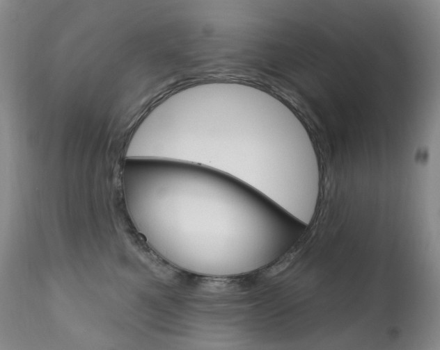 X0000111020521200906191234