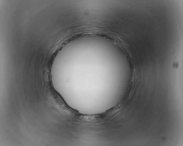 X0000111020524200906191234