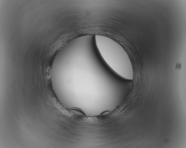 X0000111020525200906191234