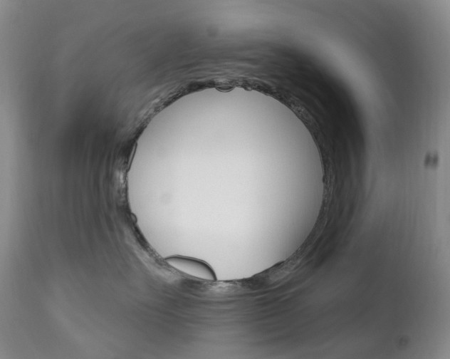 X0000111020527200906191234